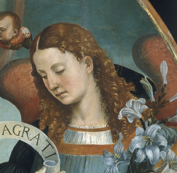 Luca Signorelli, "Head of Archangel Gabriel."